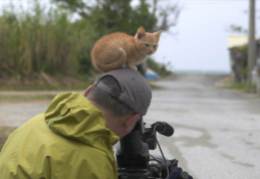 foto-blog-Fotografo-di-animali-fa-amicizia-con-un-gattino-amorevole.4